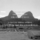 포레스트H 이미지