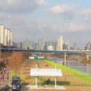 중랑천 제3체육공원 이미지