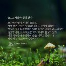 생의 공간 이미지