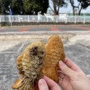 안덕중학교 | [제주] 13주에 떠난 무계획 태교여행 3DAY _ 강풍해장국 | 더리트리브 | 1100고지 | 진미네식당 | 조니...