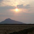 강화배꽃집 이미지