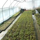 (주)누리팜 이미지