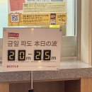퀸속옷화장품 이미지