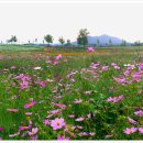 운암농장 이미지