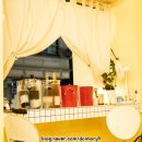 모레바 | 뮈스까까지, 코리안와인즈 소규모 유료 시음회 참석 후기 @ 꼬모꼬모 스페인 와인바 #내추럴와인추천