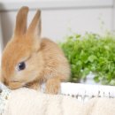 닥터멍동물병원 이미지