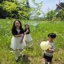 20260524 영지 첫돌 이미지