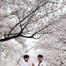 무혼 국가대표 MAS 태권도장 이미지