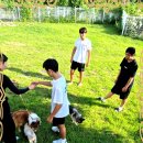 컴투펫 위탁보호센터 이미지