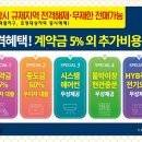 백운산숲속의아침 이미지