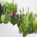 농부의마당맛집 이미지