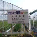 미성농장 네이버블로그