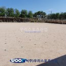 광사초등학교 이미지