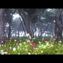 솔밭관광농원야영장 이미지