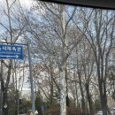 기차마을은초록민박 | 노원 기차마을 다녀온 후기 | 기차 좋아하는 아기라면 무조건 추천