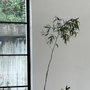 금평삼거리 이미지