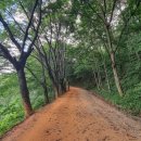 계족산황톳길 이미지