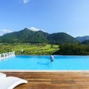 엘리스테이 이미지