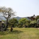 소낭구펜션