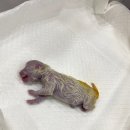 마리동물의료센터 이미지