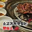 남양로 | 화성 남양 맛집 양심소, 임산부도 반한 소고기집 후기
