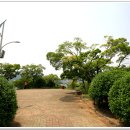 돌산공원 정상 이미지