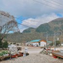 나리상회 이미지