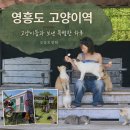 고양이 기숙사 | 영흥도 고양이역 후기｜100마리 고양이와 함께한 이색 카페, 먹이시간은 꼭 보세요