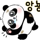 래쉬온미