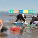 장호어촌체험휴양마을 이미지