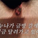 버기즈 이미지