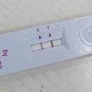 위플러스내과의원 이미지