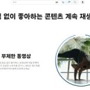 이번에 기존보다 가격을 50%이상 올린다는 유튜브 프리미엄.jpg 이미지