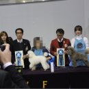 펫디자이너 시나 이미지