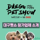 한국펫주식회사 이미지