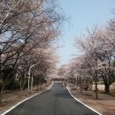 명손지가 바디