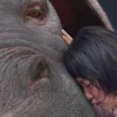 옥자축사 이미지