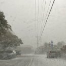 화수목민박 이미지