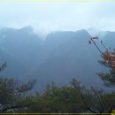 수철령 Daum카페
