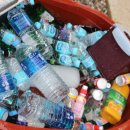 맑은농장 이미지