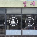 절세미견 이미지