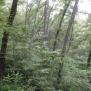 장동산림욕장 이미지