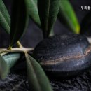 우리들노인요양원 이미지