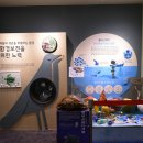 갯지렁이 전시관 이미지