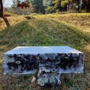 숙안공주묘 이미지