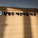 강명주애견미용학원 네이버블로그