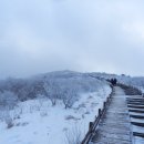 노고단-15 이미지