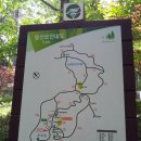 제290회 6월15일 충남 보령 성주산 자연휴양림과 편백나무숲575m 이미지