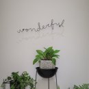 화이트하우스펜션 이미지