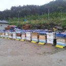 참냉기농장 이미지